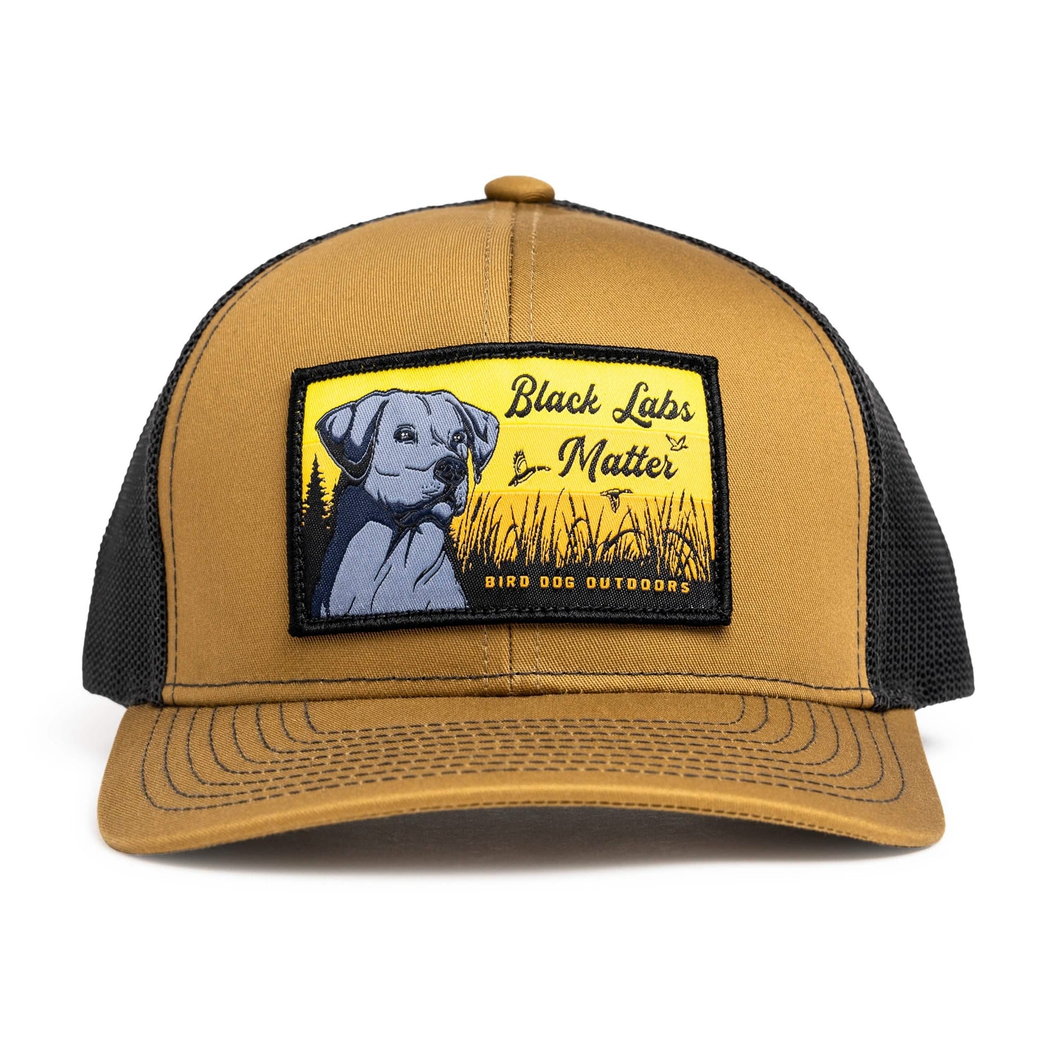 Black Labs Matter Hat